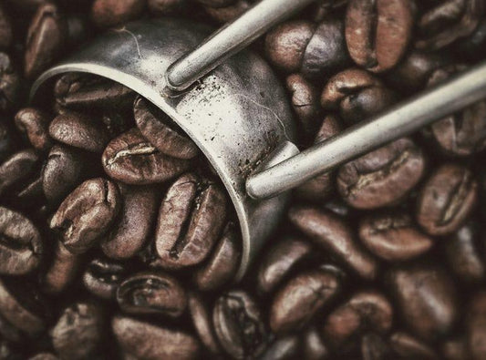 Roasted Coffee Beans