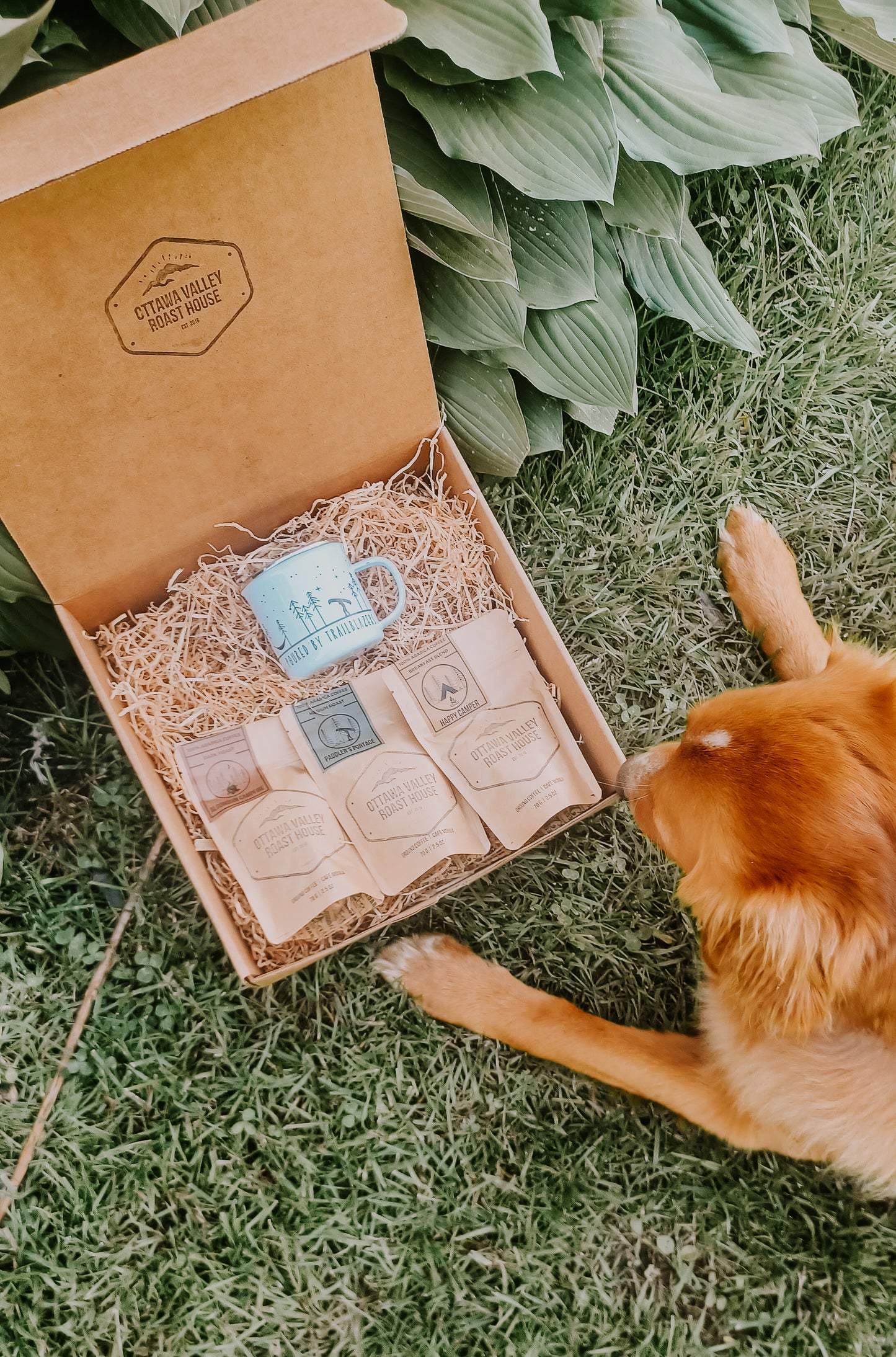 Backcountry Brew Pack - Ottawa Valley Roast House