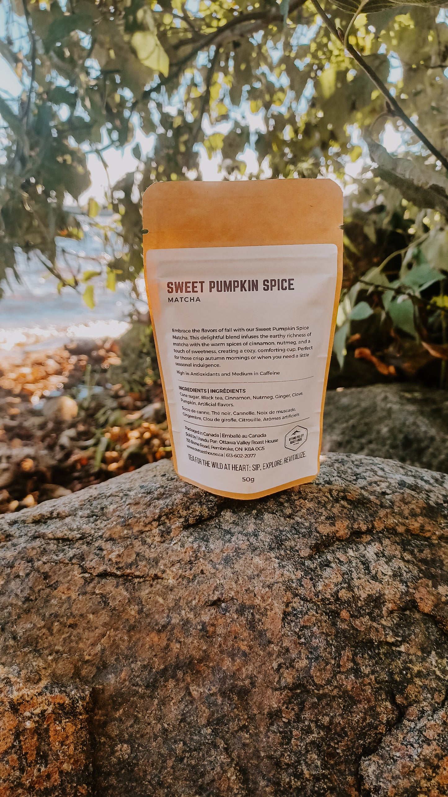 Sweet Pumpkin Spice Matcha - Ottawa Valley Roast House