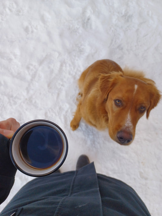 Adventure Is Closer Than You Think