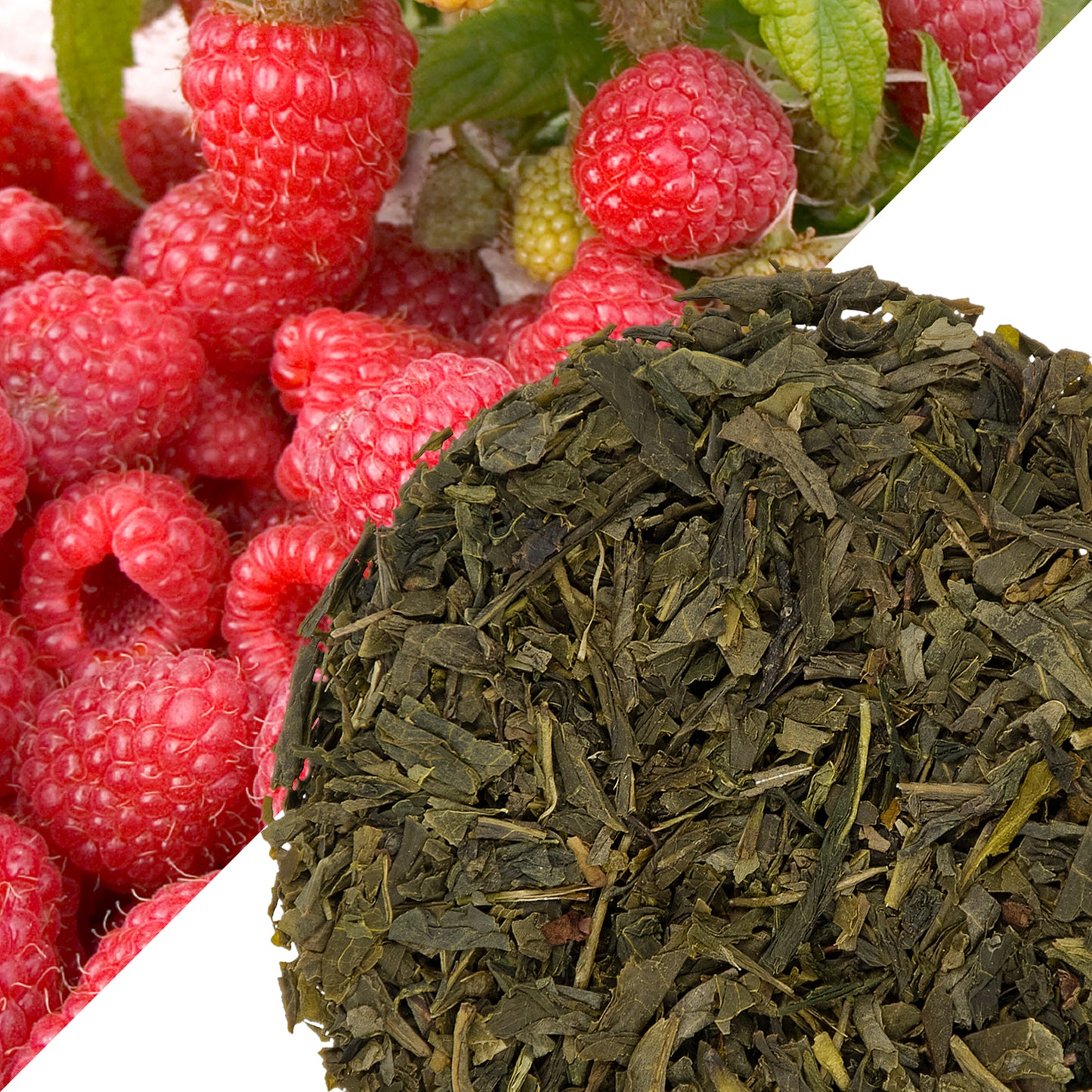 Nature Walk | Green Tea