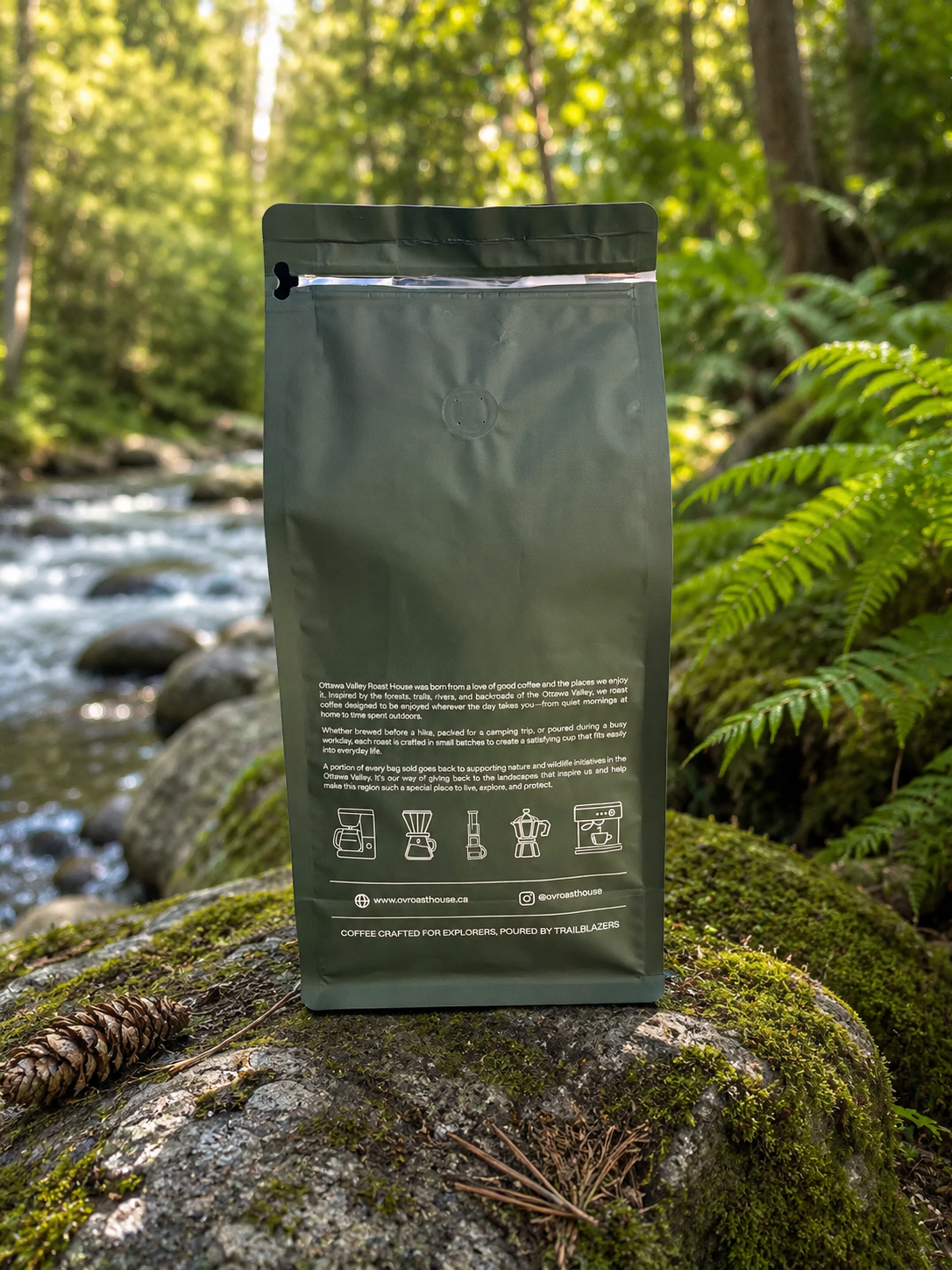 An olive green stand-up pouch of coffee stands on a mossy rock in a forest stream setting, with ferns and trees blurred in the background.
